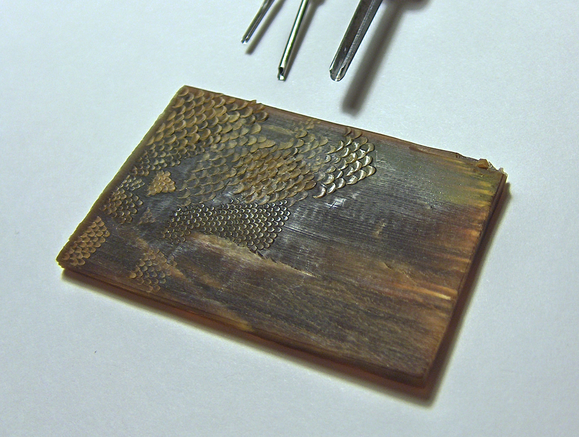 Carp among lotus leaves10